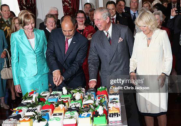 Prince Charles, Prince of Wales cuts his 64th birthday cake with Sir Jerry Mateparae Governor-General of New Zealand at Government House on November...