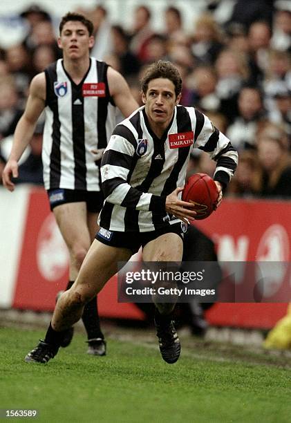 Mark Orchard of Collingwood in action during the AFL season. \ Mandatory Credit: Allsport AUS /Allsport