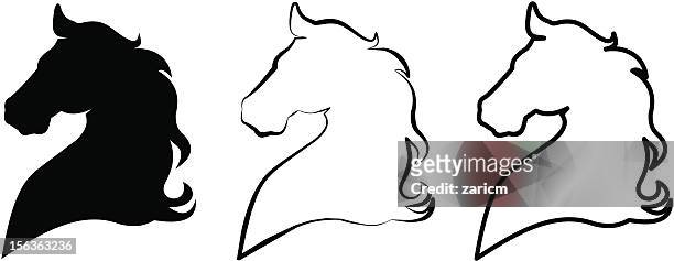 horse head - padock stock illustrations