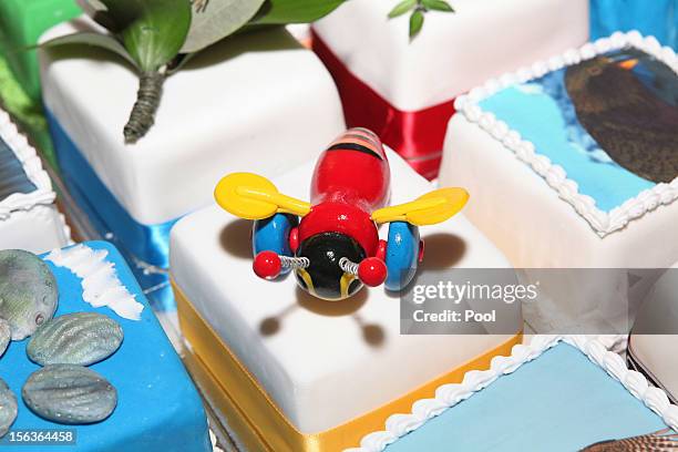 View of the birthday cake for Prince Charles, Prince of Wales during his 64th birthday celebrations at Government House on November 14, 2012 in...