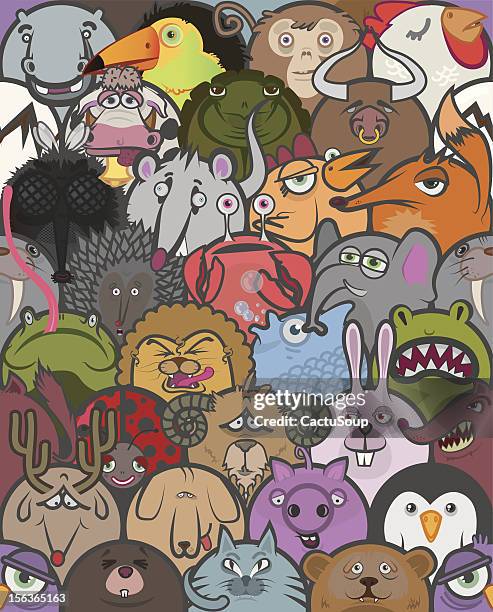 zoo - turtle illustration stock illustrations