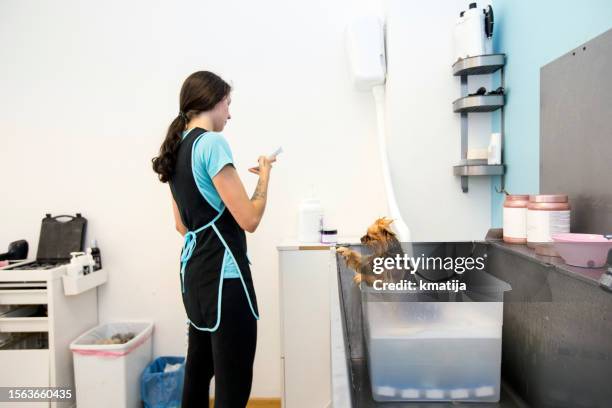 pet groomer opening bubble bath machine in pet salon - dog washing machine stock pictures, royalty-free photos & images