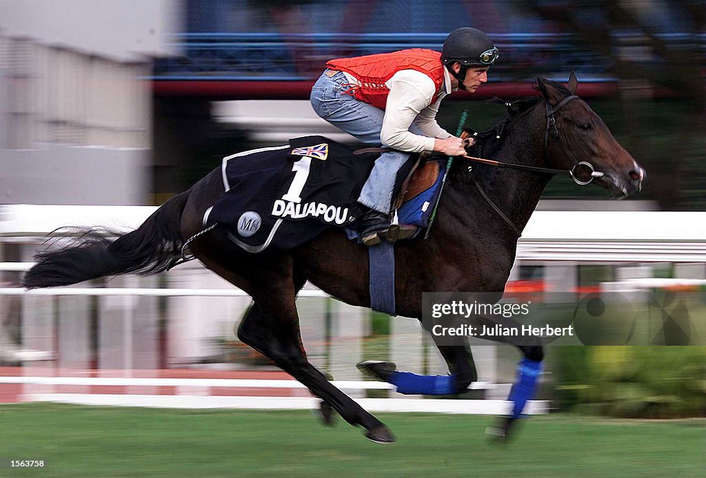 Sha Tin Gallops X