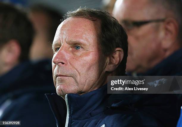 Berti Vogts the coach of Azerbaijan looks on during the FIFA 2014 World Cup Group F Qualifying match between Northern Ireland and Azerbaijan at...