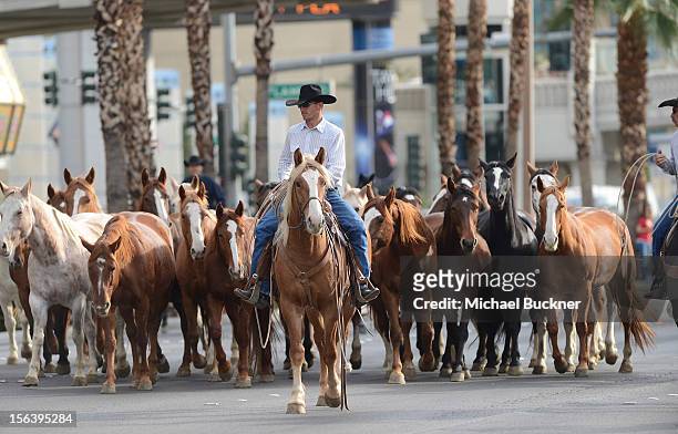 The first-ever orchestrated horse stampede shuts down the Las Vegas Strip and marks Shania Twain’s arrival to The Colosseum at Caesars Palace on...