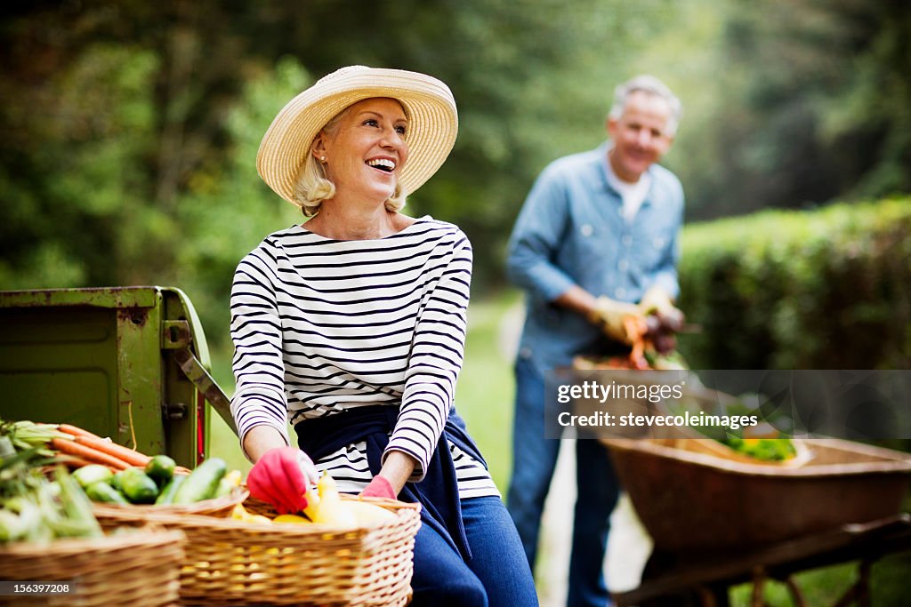 Mature Woman Harvesting Vegetables In Garden.