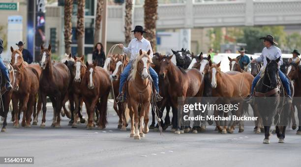 The first-ever orchestrated horse stampede shuts down the Las Vegas Strip and marks Shania Twain’s arrival to The Colosseum at Caesars Palace on...