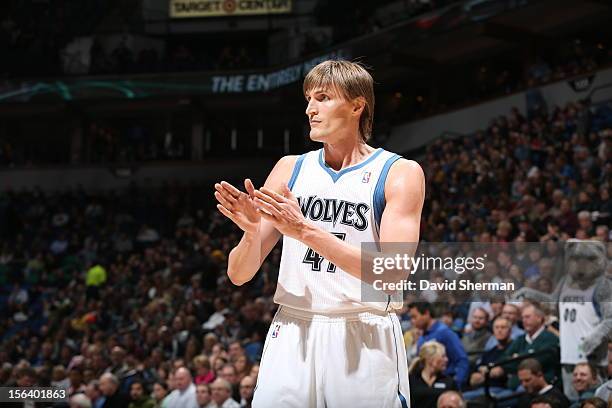 Andrei Kirilenko of the Minnesota Timberwolves applauds during the game between the Minnesota Timberwolves and the Charlotte Bobcats on November 14,...