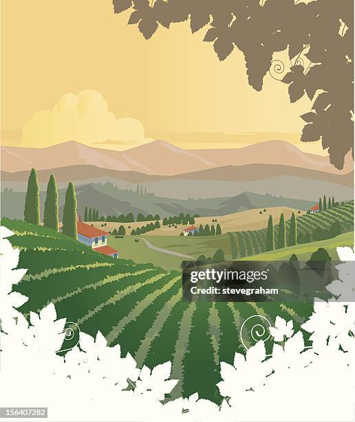 vineyards panorama - vineyards stock illustrations