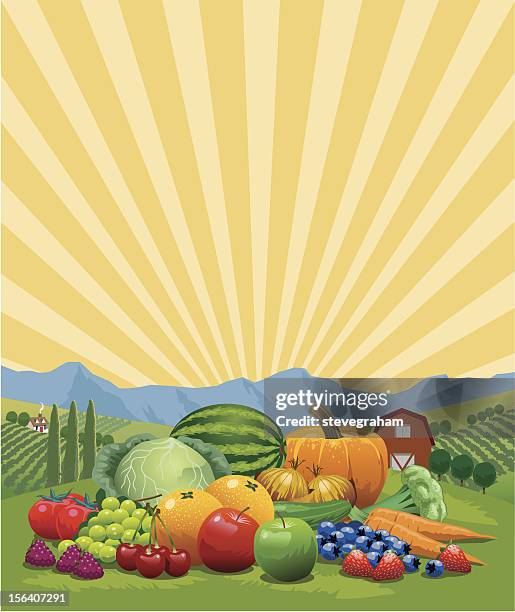 ilustrações, clipart, desenhos animados e ícones de colheita de frutas e legumes - vegetable harvest