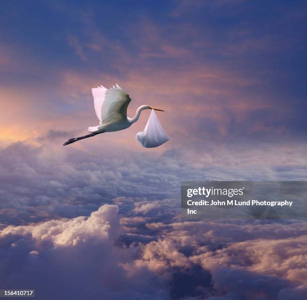 stork carrying bundle over the clouds - baby m stock pictures, royalty-free photos & images