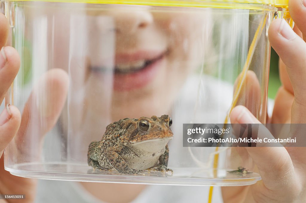 Girl looking at toad in terrarium, cropped