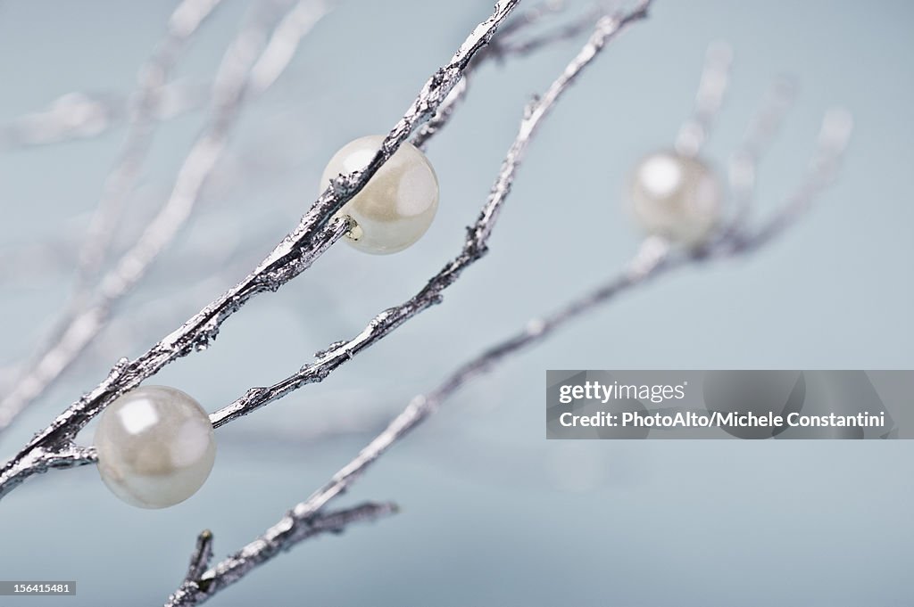 Silver Branches With Pearl Decorations High-Res Stock Photo