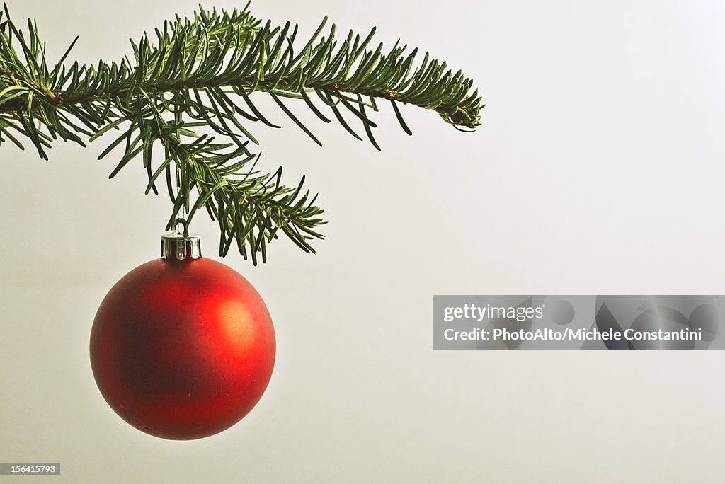 Red Christmas bauble hanging from Christmas tree