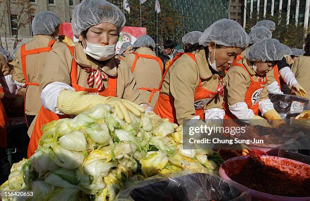 More than two thousand housewives make Kimchi for donation to the poor in preparation for winter in front of City Hall on November 15, 2012 in Seoul,...