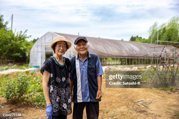 portrait of senior couple in farm - japanese stock pictures, royalty-free photos & images