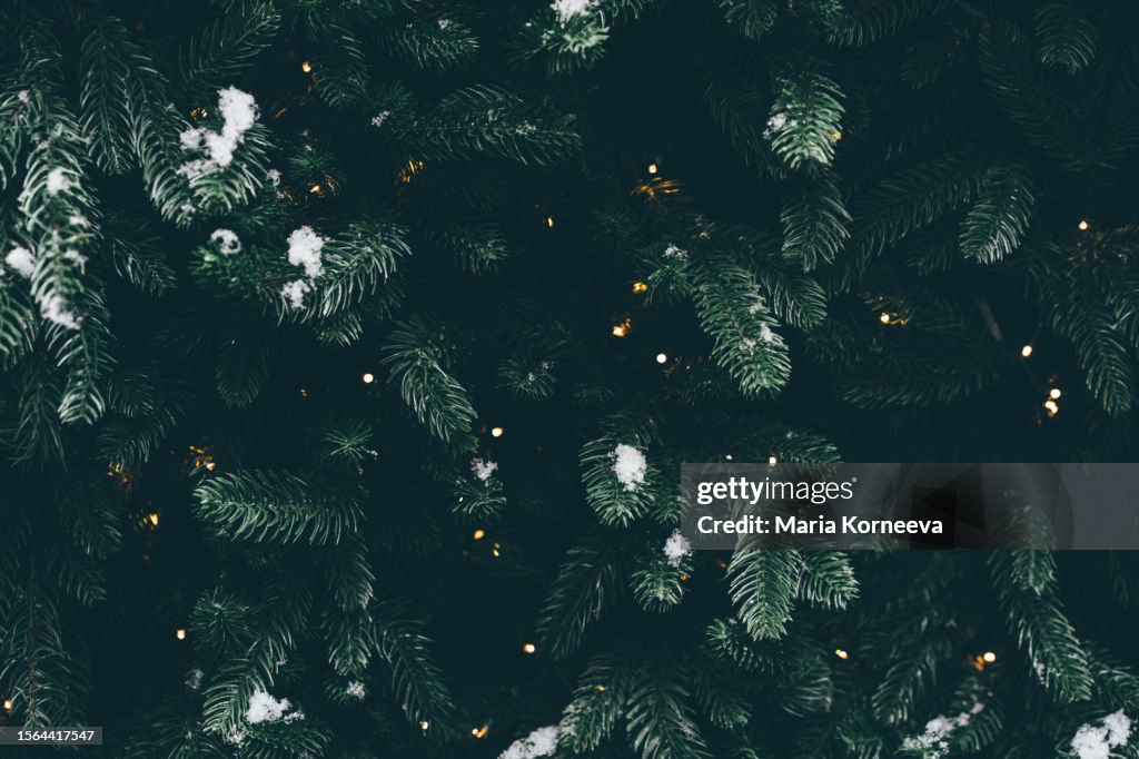 Winter season, Christmas and New Year holidays background.