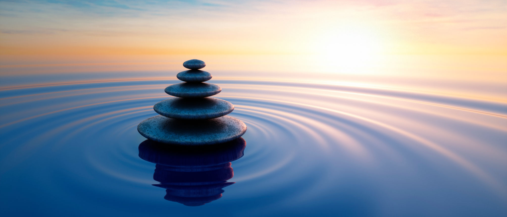 wellness balance