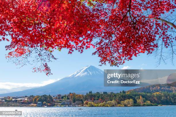 fuji mountain and red maple leaves in autumn, kawaguchiko lake, japan - mount fuji stock pictures, royalty-free photos & images