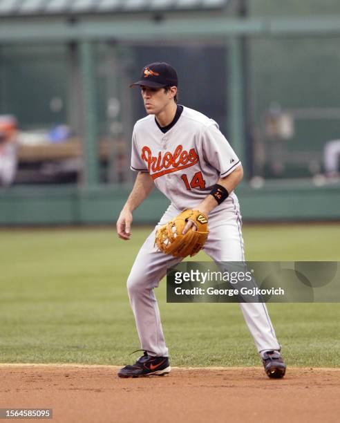 Second baseman Chris Gomez of the Baltimore Orioles looks on from the field during a game against the Pittsburgh Pirates at PNC Park on June 7, 2005...