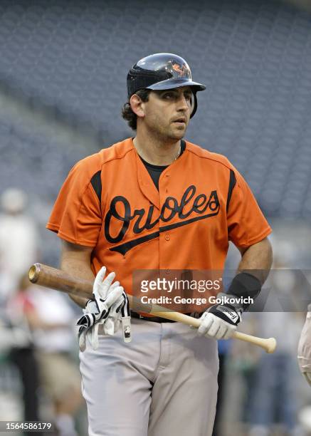 Sal Fasano of the Baltimore Orioles looks on from the field during batting practice before a game against the Pittsburgh Pirates at PNC Park on June...