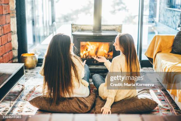 friends relaxing at home in front of a stove in a cozy living room. - wood burning stove fotografías e imágenes de stock