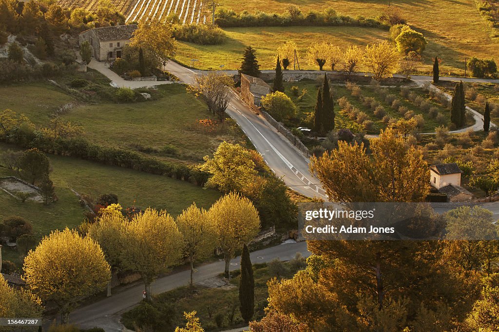 Elevated view of roadway and trees at sunrise