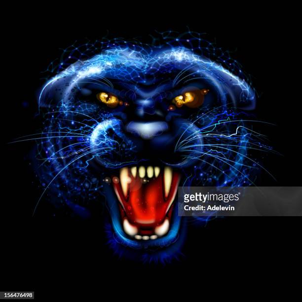 panther - black panther face stock-grafiken, -clipart, -cartoons und -symbole