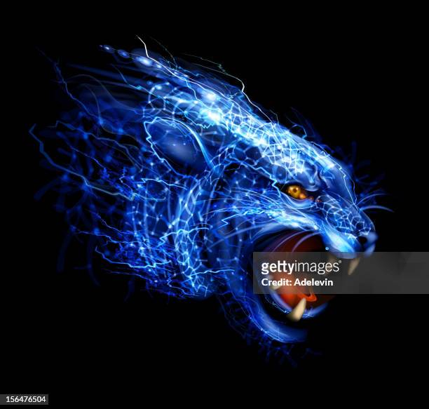 128 Black Tiger Wallpaper Photos and Premium High Res Pictures - Getty  Images
