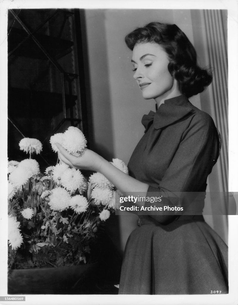 Donna Ransom Donna Reed in publicity portrait for the film 'Ransom!', 1956. Photo d ...