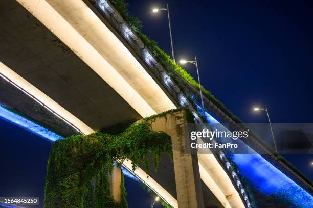 bottom view of green overpass in city - green bridge over trees stock pictures, royalty-free photos & images