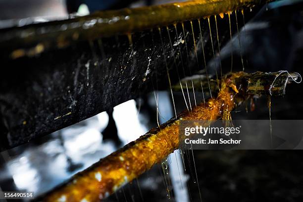 Solidified sticky fibres of sugar cane juice seen during the processing of panela in a rural sugar cane mill on 30 May 2012 in Santa Ana, Valle del...