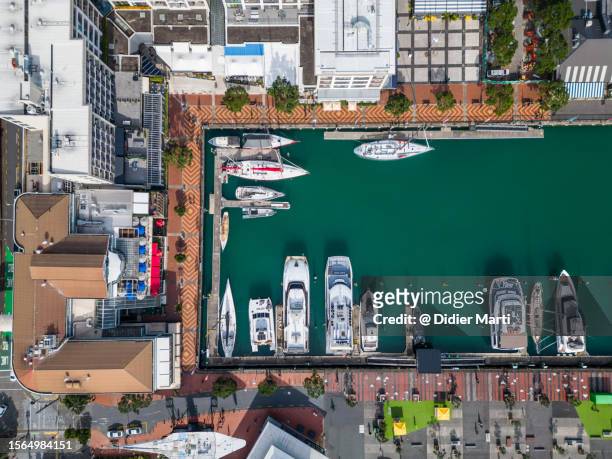top down view of auckland marina in new zealand - auckland aerial stock pictures, royalty-free photos & images