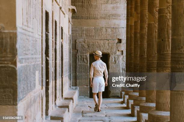philae temple in aswan,egypt - aswan stock pictures, royalty-free photos & images