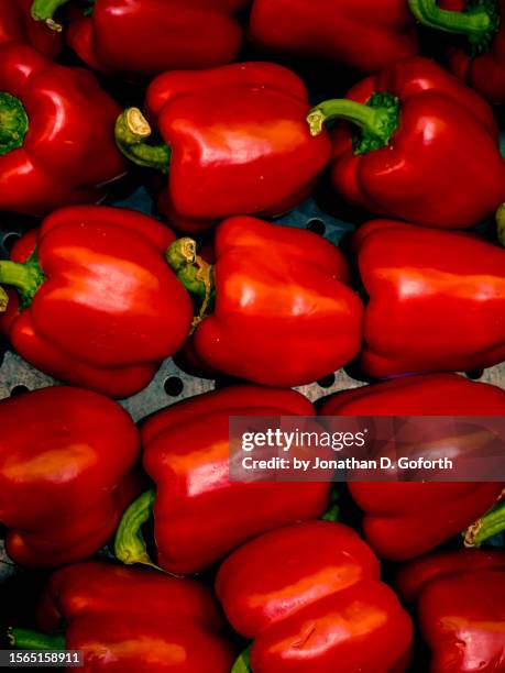 red peppers - red bell pepper stock pictures, royalty-free photos & images