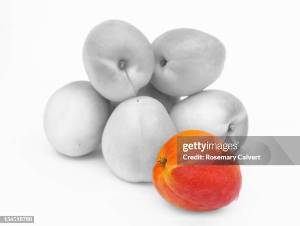 coloured apricot stands out from grey ones. - touche de couleur photos et images de collection