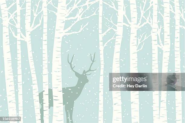 among the birch - birch tree background stock illustrations