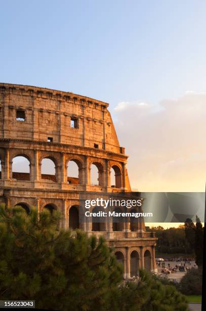 view of colosseo (coliseum) - coliseo romano fotografías e imágenes de stock