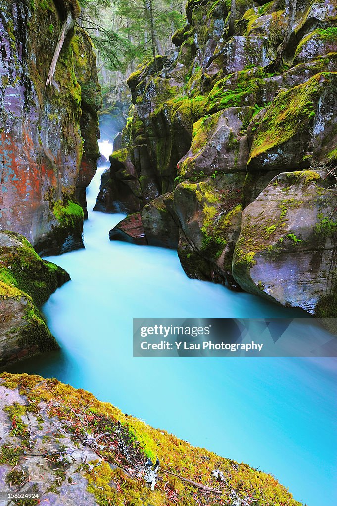 Avalanche Gorge at Glacier NP