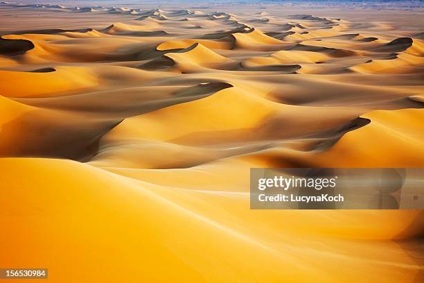 sand dunes bei sonnenaufgang - desert stock-fotos und bilder