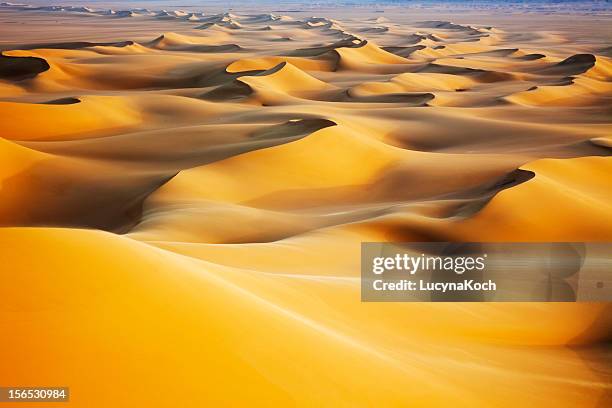 sand dunes at sunrise - desierto fotografías e imágenes de stock