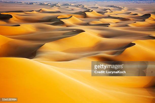 sand dunes at sunrise - panoramic stock pictures, royalty-free photos & images