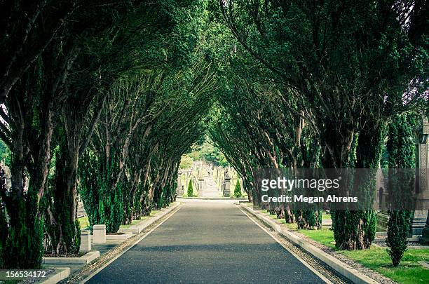 glasnevin cemetery - glasnevin cemetery stock pictures, royalty-free photos & images