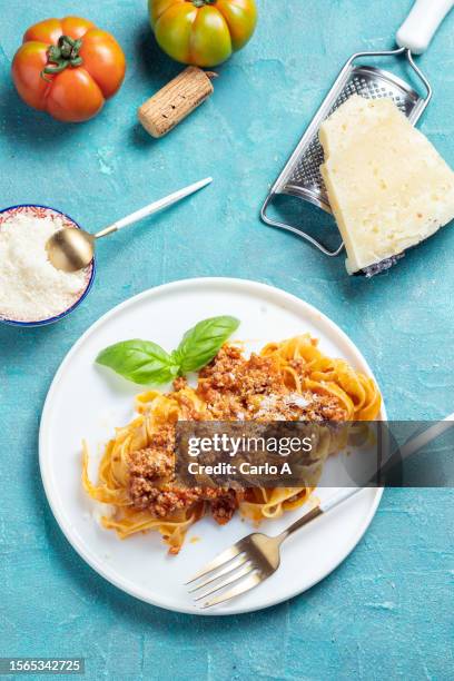 pasta amatriciana, italian food studio shot - parmesan cheese overhead stock pictures, royalty-free photos & images