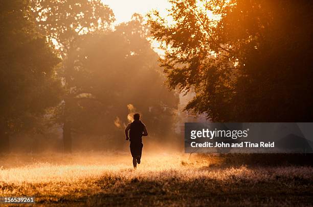 misty run - mattina foto e immagini stock