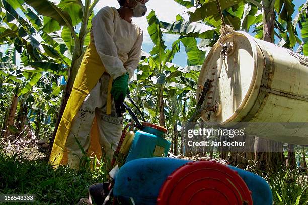 Costa Rican worker fills a pump sprayer with chemicals used for maintenance of plants at a banana plantation on September 02, 2004 near Puerto Limon,...