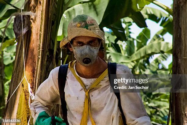 View of a Costa Rican worker during the aplication of chemicals used for maintenance of plants at a banana plantation on September 02, 2004 near...