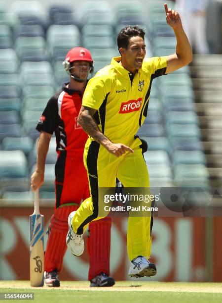 Mitchell Johnson of the Warriors celebrates the wicket of Michael Klinger of the Redbacks during the Ryobi Cup One Day match between the Western...