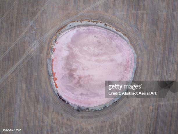 circular shaped salt lake in an agricultural field photographed from a drone point of view, western australia, australia - prokaryote stock pictures, royalty-free photos & images
