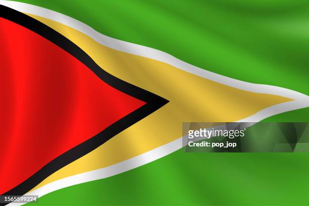 flag of guyana. guyanese flag. vector flag background. stock illustration - guyana flag stock illustrations